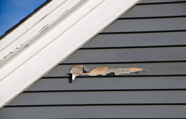 Best Property Management Cleanouts  in University, MS